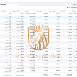 Finance - a difficult field but KING AGENCY GLOBAL still has operating solutions for large budgets
