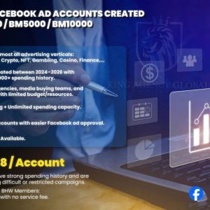 ☀️☀️KING AGENCY SELLING FACEBOOK AD ACCOUNTS CREATED FROM ✅BM 2500 - ✅BM 5000 - ✅BM 10000 WITH HUGE SPENDING OF $3 - $10 MILLION