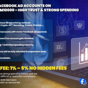 ⭐KING AGENCY GLOBAL⭐  FACEBOOK ADVERTISING ACCOUNT RENTAL SERVICE ⭐ FEE 3% - 5%⭐ At no cost account with large spending limit - Agent account - 24/7 s