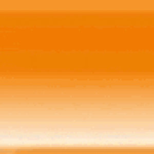 RexusDomain-Footer.gif-ezgif.com-optimize (3).gif