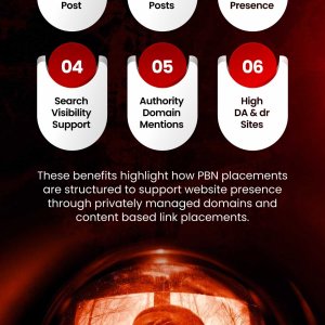 PBN BACKLINKS HIGH QUALITY.jpg