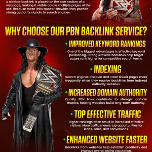 PBN Blogroll & Sidebar Backlinks Service.jpg (3).jpeg
