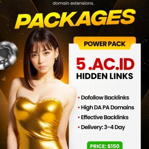 Hidden Backlinks Service