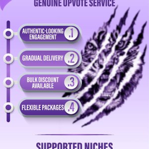 REDDIT MARKETING & GROWTH SERVICE Infographics-01.jpg