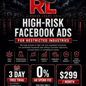 BHW Leadgen 299 no risk removed.jpg