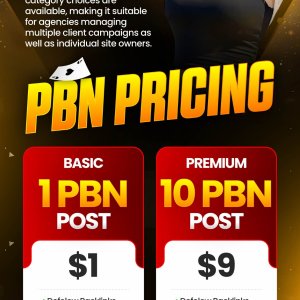High DR 50+ DA 40+ Premium PBN Backlinks.jpg