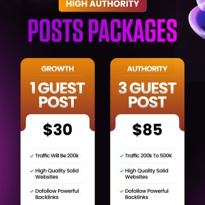 High Authority Guest Post Traffic 200K TO 500k (1).jpg