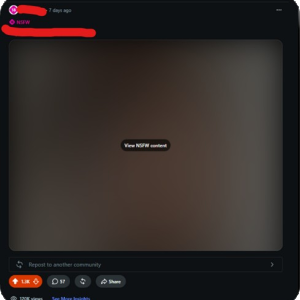 0-100k NSFW Reddit Followers using AI (With Video Case Study)