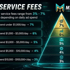 Detailed fees; special offers available for partner organizations with high spending volumes.