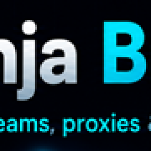 hideninjabhw.png