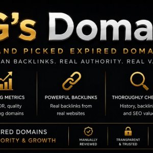 ggdomainsp2.jpg