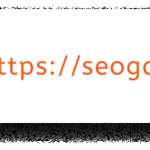 SEOGami Contact