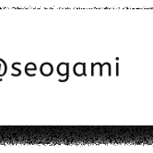 SEOGami Contact
