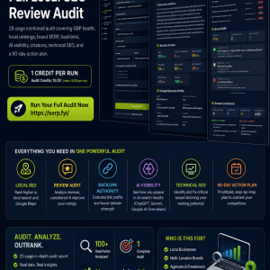 Local SEO + ORM Audit.png