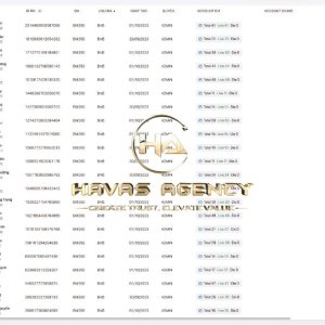 HA Marketing Agency
