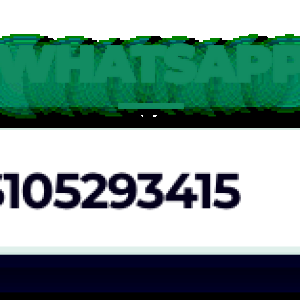 guest-post-07-whatsapp.png