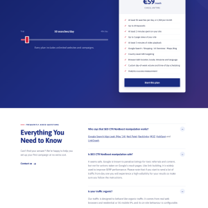 Top of the Results SEO CTR Service