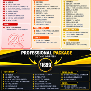 Professional SEO Backlink Packages – 30 Days Drip Feed.png