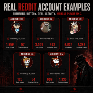 Reddit Account Examples