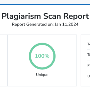 Plagiarism Report 01.png
