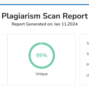 Plagiarism Report 02.png