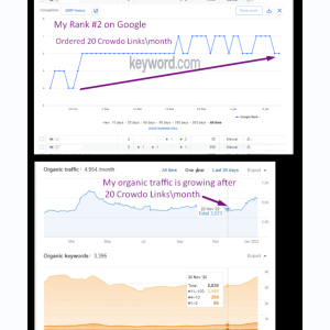 crowdo_links_review_7.png