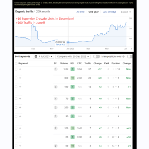crowdo_links_review_9.png