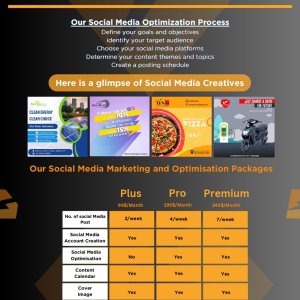 The Tech Gigs Social Media Management Services