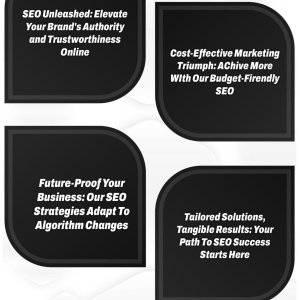 SEO linkbuilding backlinks packages1.jpg