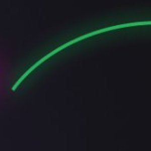 Free Hosting - $69 Full Functional WordPress Website Development Pricing
