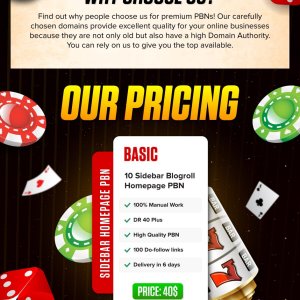10 Sidebar Blogroll Homepage PBN DR 40  Update-01.jpg
