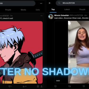 TWITTER NO SHADOWBAN.png