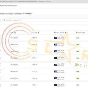 Facebook advertising account rental service