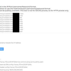 proxy_checker_config.png
