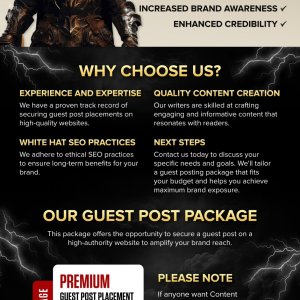 Reach a Targeted Audience with a High-Quality Guest Post-01.jpg