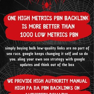 PBN And Blogroll Service-02-01.jpg