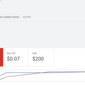 Ordinary Google Ads account (3).jpg