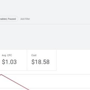 Ordinary Google Ads account (2).jpg