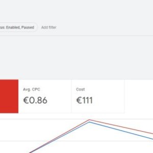 Ordinary Google Ads account (1).jpg