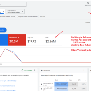 Old Google Ads account verified (2).png