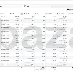 FACEBOOK ADVERTISING ACCOUNT FOR RENT - ACCEPT 2.jpg