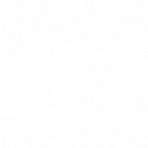 Power Bag Niche (2).gif