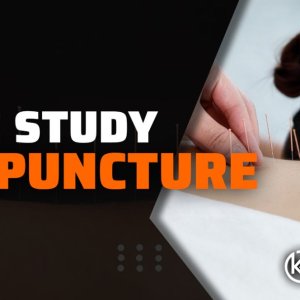Acupuncture.jpg