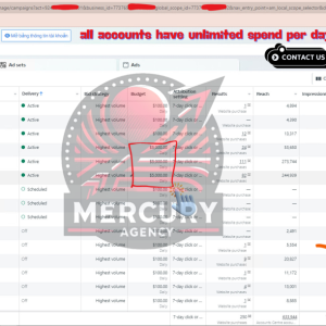 all accounts have unlimited spend per day.png