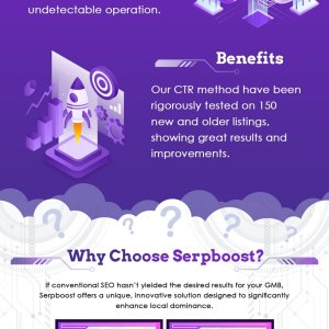 Serpboost  sale page-min.jpg