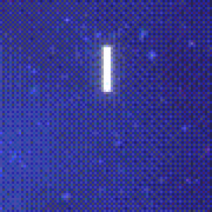 socialaccs.gif