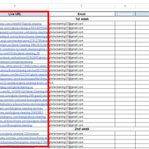 local SEo.png