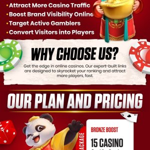 15 casino premium domains homepage PBN backlinks-01 (2).jpg
