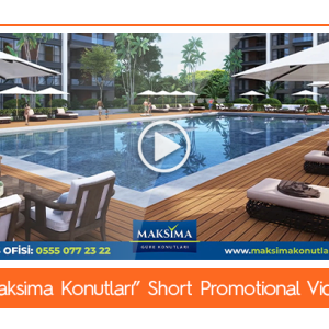 c19.png