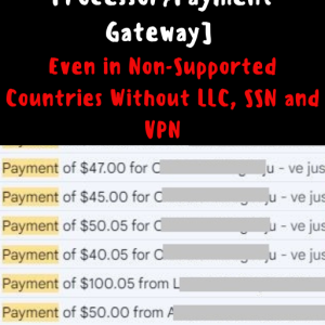 payment processor.png